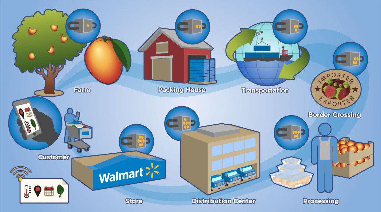 walmart digital transformation case study